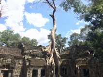 Angkor wat & ses temples